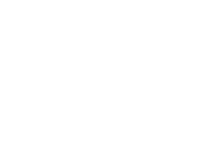 Blaser