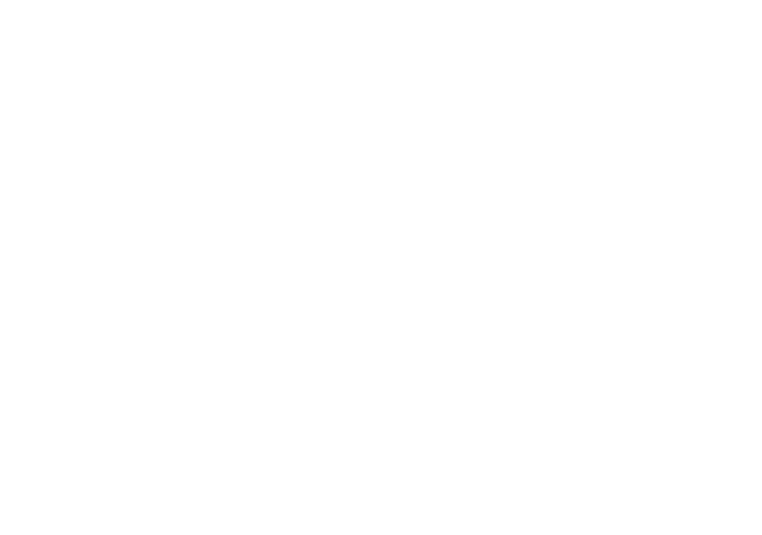 holosun