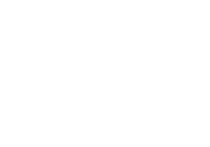 Swarorvski